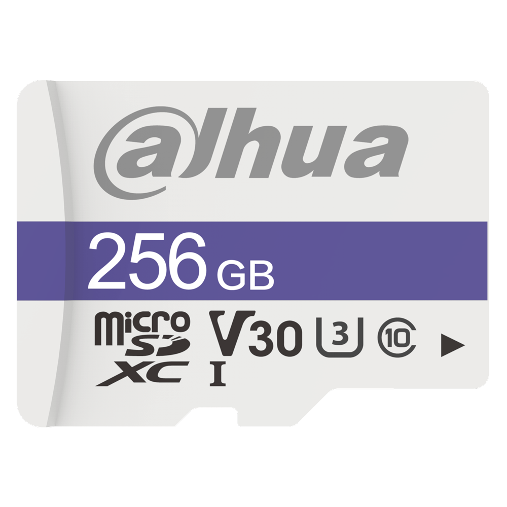 DAHUA - TF-C100/256GB